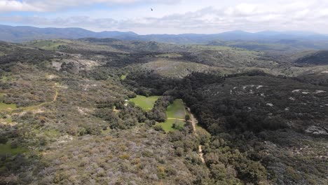 Aerial-wide-view-chasing-a-black-helicopter-over-the-hills-near-Santa-Ysabel,-California