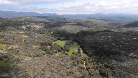 amplia vista aérea persiguiendo un helicóptero negro sobre las colinas cerca de santa ysabel, california