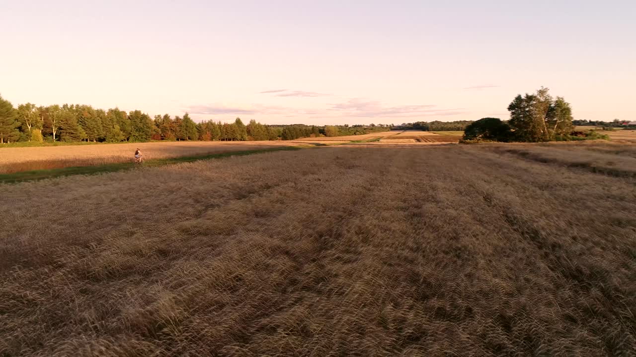 una persona hace ciclismo en un pequeño camino agrícola