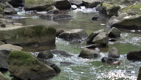 A-little-babbling-brook-or-stream-in-the-wilderness