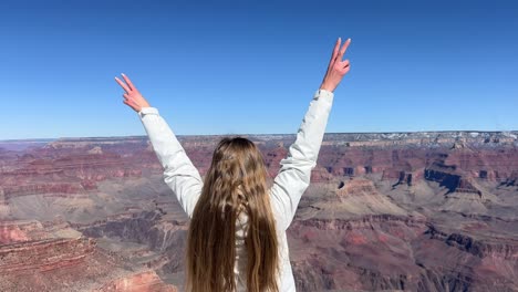a woman stands in awe looking at the incredibly beautiful and vast landscape of the grand canyon a woman stands in awe looking at the incredibly beautiful and vast landscape of the grand canyon