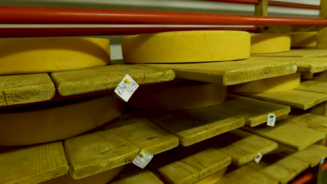 vista de las ruedas de queso de parmesán madurando en los estantes de la bodega de la fábrica de queso