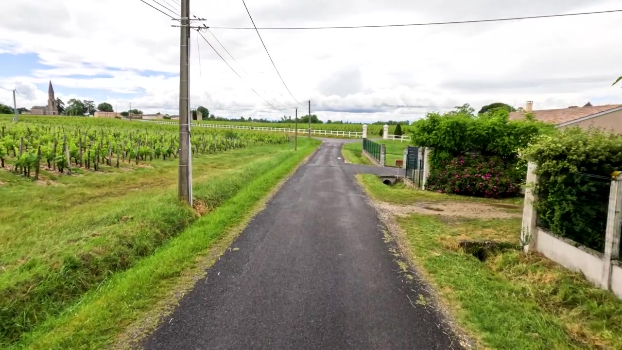 風光明媚なフランスのワイン産地のブドウ畑を抜ける狭い道を沿った、スムーズな前方カメラ移動。