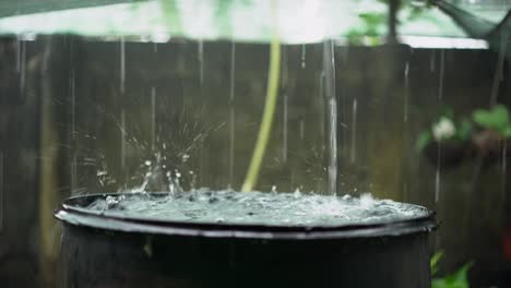 heavy rain drops filling up rainwater harvesting barrel, closeup