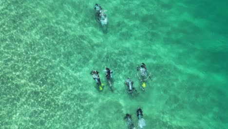 a group of scuba divers swimming below the clear ocean waters of a tropical island
