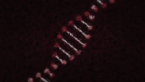 animación de una cadena de adn girando sobre un fondo negro