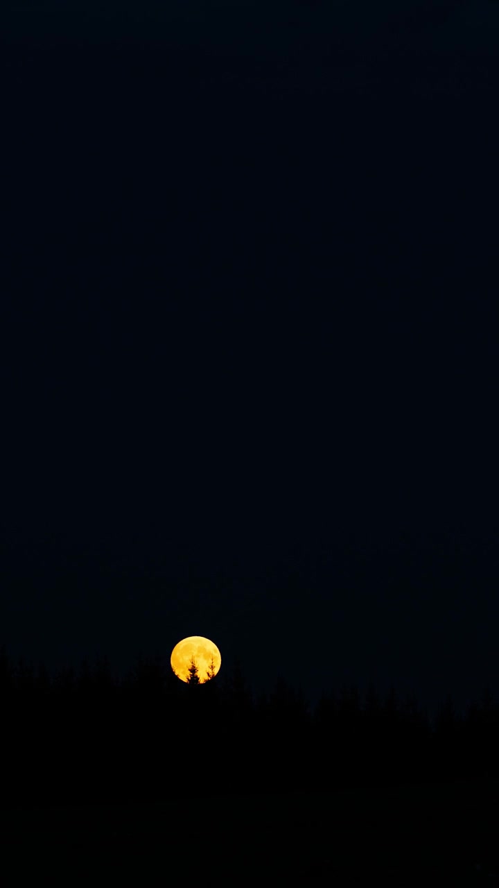 Video verticale della luna piena che sorge dalla foresta. Timelapse