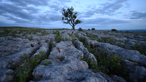 Amanecer-En-El-árbol-Solitario-Malham,-Yorkshire.-Lapso-De-Tiempo