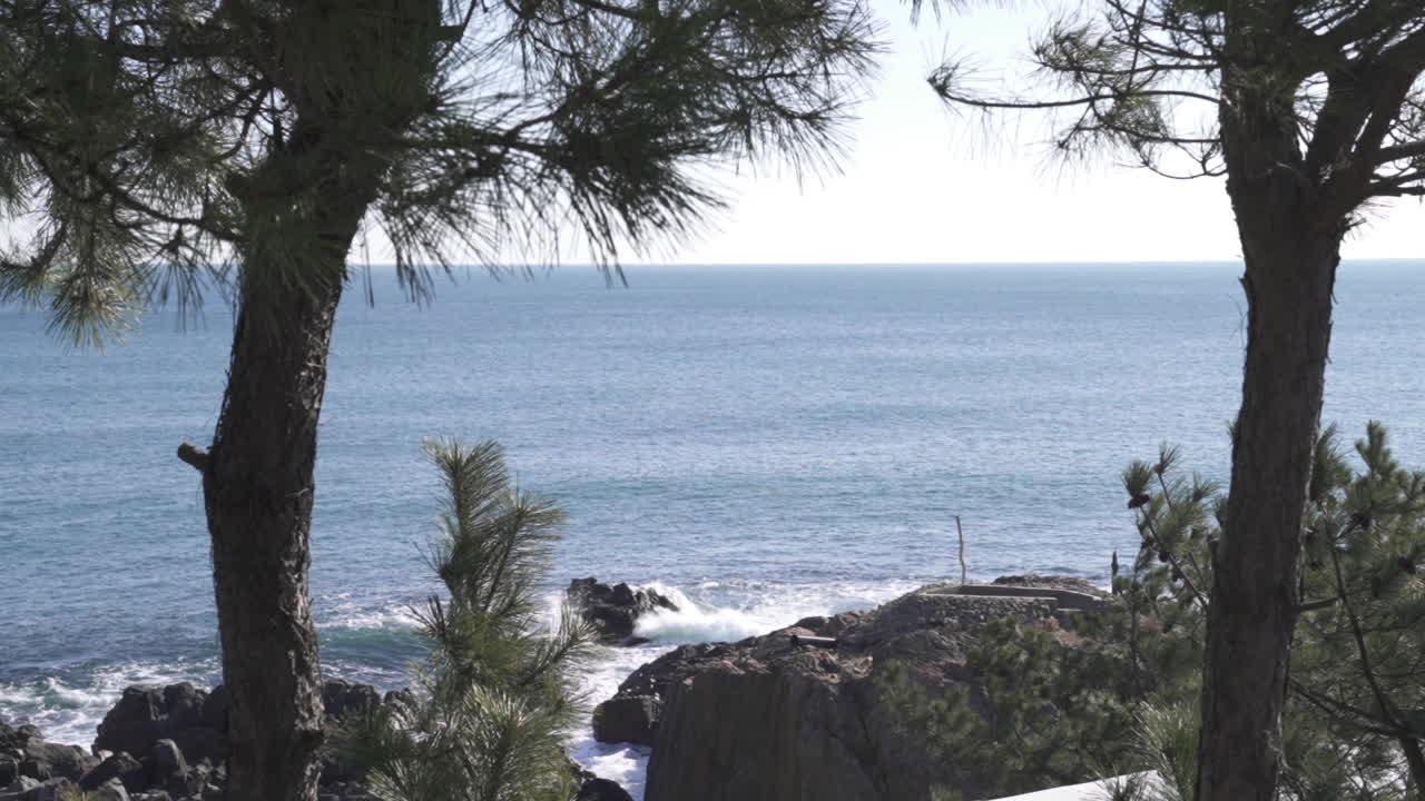 A view of a east sea through park in South Korea (shoot info: Cin2, 1080p, 59.94fps)