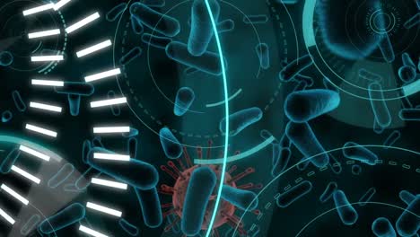 animation of 5g written over scopes scanning and coronavirus cells spreading on black background.