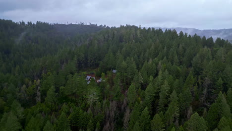 Alojamiento-En-El-Bosque-En-Medio-De-Secuoyas-En-El-Monumento-Nacional-De-Muir-Woods-En-El-Condado-De-Marin,-California