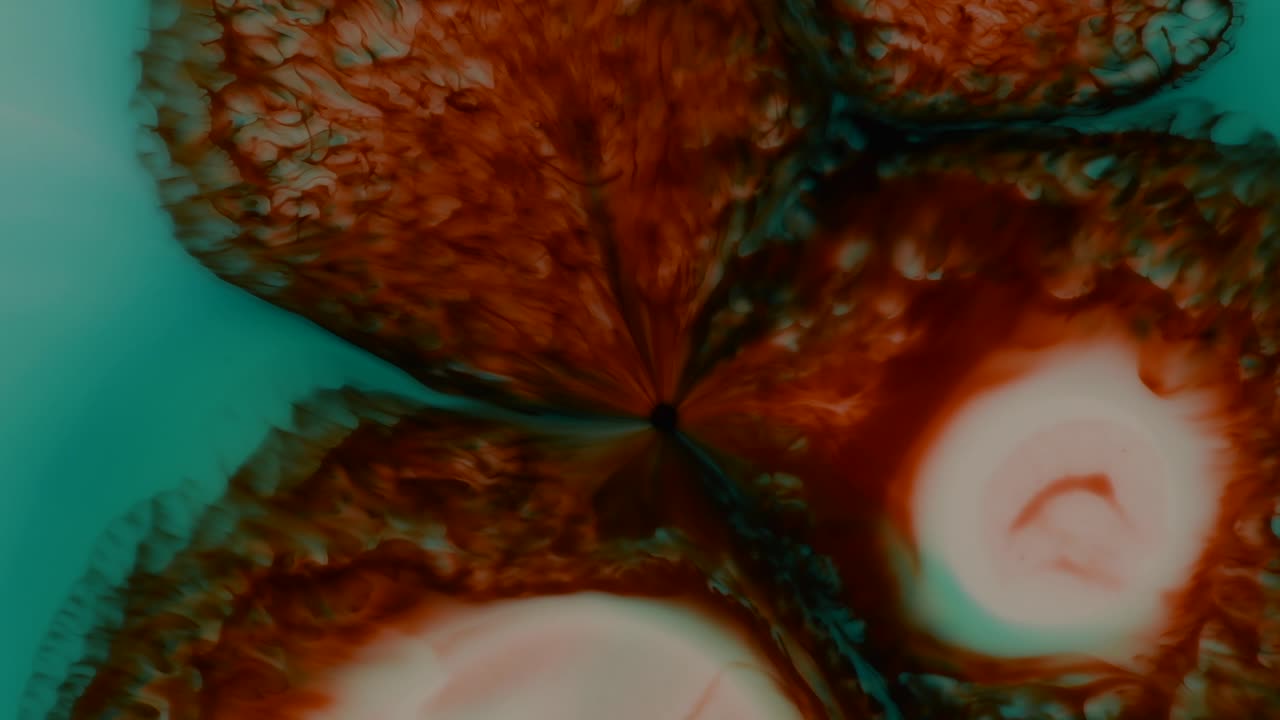 toda esa salsa para pasta se va por el desagüe