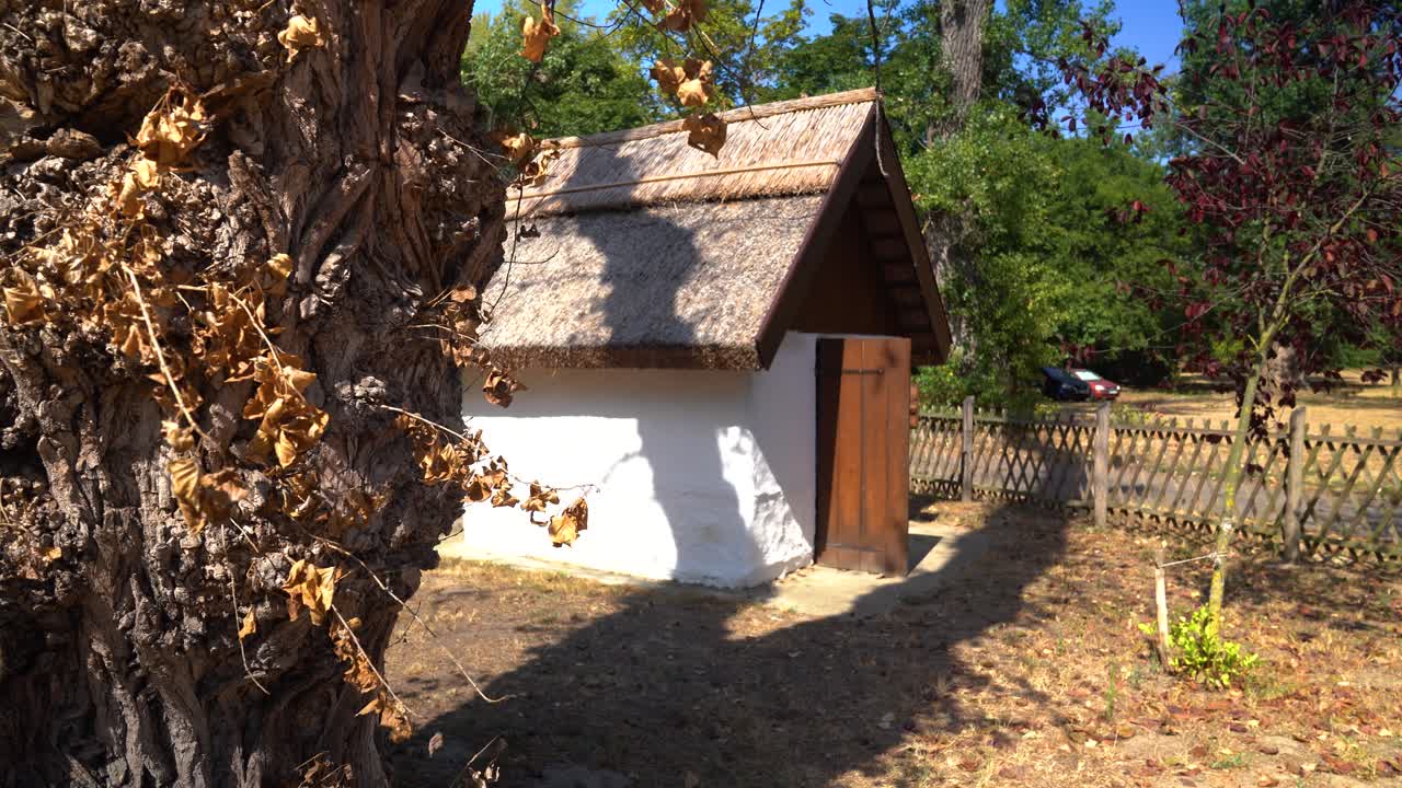 Small Thatched Roof Cottage with a Wooden Door in a Quiet, Rural Countryside Setting