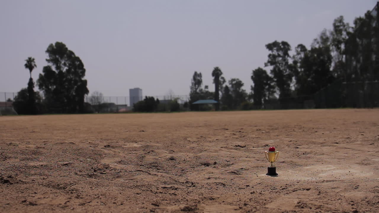 Empty Baseball Field with a Trophy