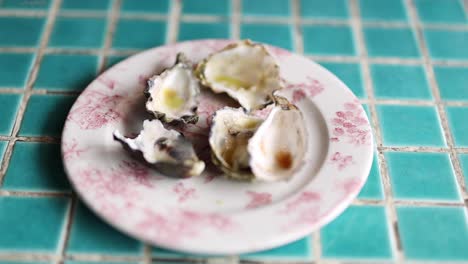 oysters being eaten over time on decorative plate.