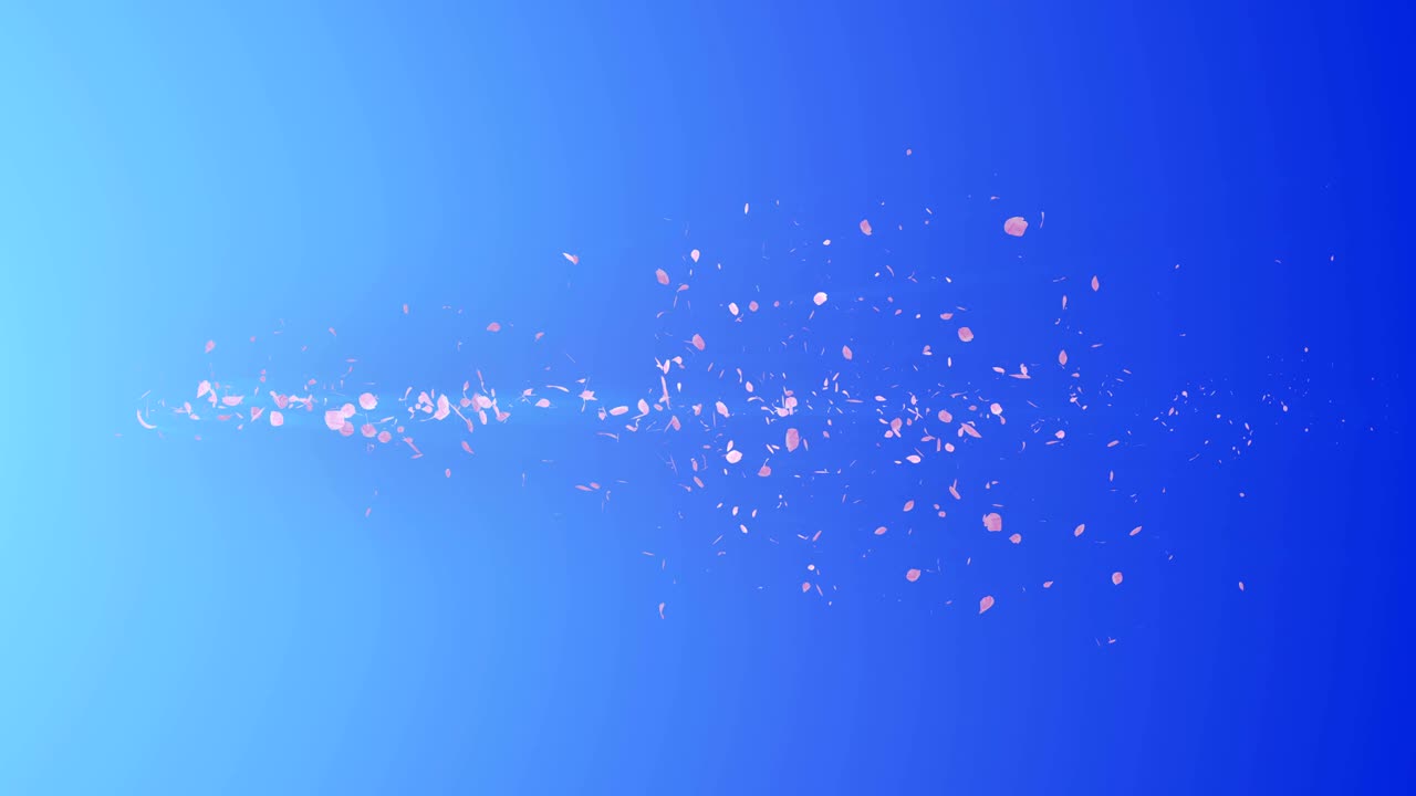 꽃의 나선형 반이는 입자, 사쿠라 패턴, 일본의 꽃 춤, 분홍색 꽃잎의 소용돌이, 추상적인 루프 애니메이션.