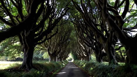 the dark hedges, an iconic tree tunnel in northern ireland