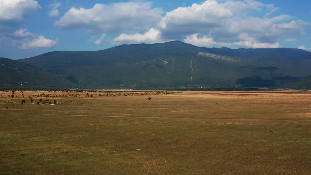 아름다운 산이 보이는 넓은 들판에 있는 한 그루의 나무를 향한 느린 비행