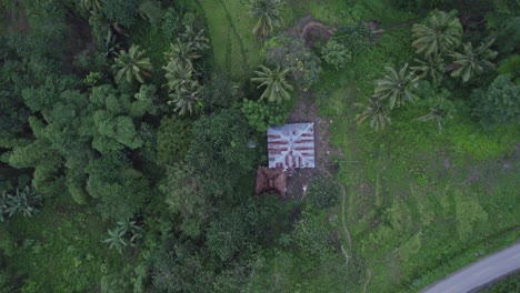 Arriba-Hacia-Abajo-De-La-Casa-Local-En-Medio-De-La-Vegetación-Verde-En-La-Isla-De-Sumba,-Antena