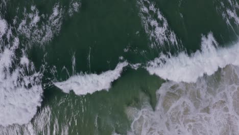 Aerial-pod-of-dolphins-playing-in-the-waves-4K