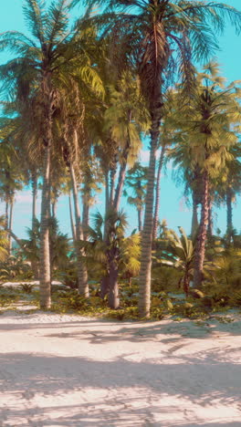 tropical beach with palm trees