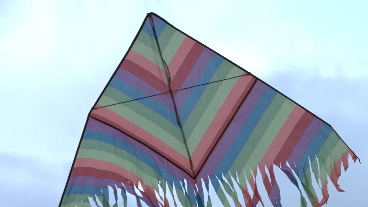 하늘에 있는 다채로운 줄무의 날개