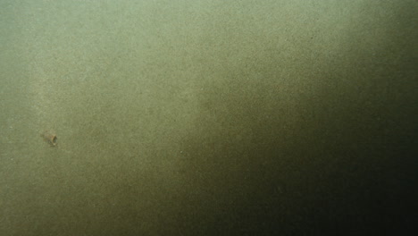 Abstract green textured background