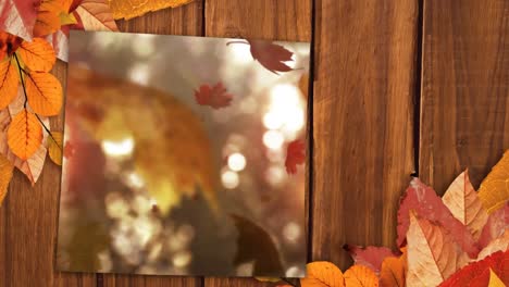 hoja de otoño cayendo en la mesa de madera 4k