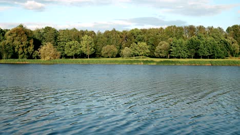 fluss- und waldlandschaft im sommer. typische natur von weißrussland und dem westeuropäischen teil russlands