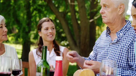 Familie-Interagiert-Miteinander-Beim-Essen-Im-Park