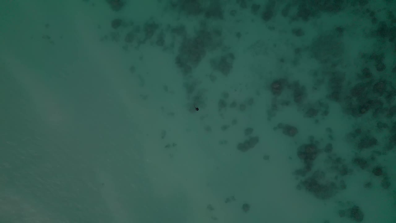 Veduta dall'alto del mare calmo e blu nell'isola di Oahu, Hawaii