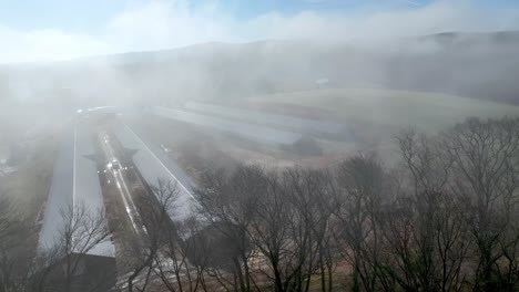 granja de pollos en niebla en el condado de wilkes nc, carolina del norte