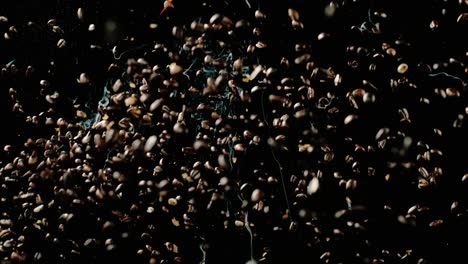 coffee beans fall through the air