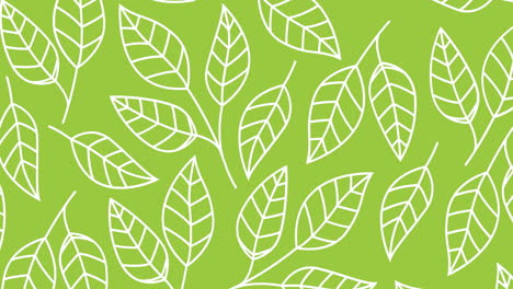 animación de hojas blancas sobre un fondo verde