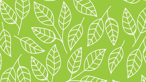 animation of white leaves on green backgroud