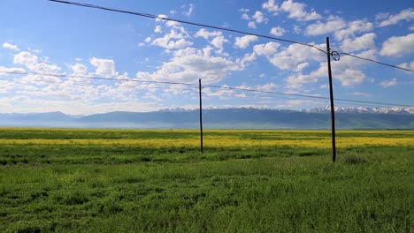 panorama of electric poles at green fields with clouds in blue sky