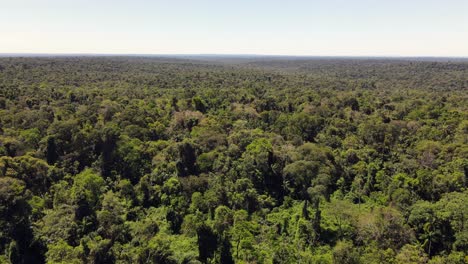 Magnífica-Vista-Aérea-De-La-Prístina-Selva-Nativa-En-Misiones,-Argentina