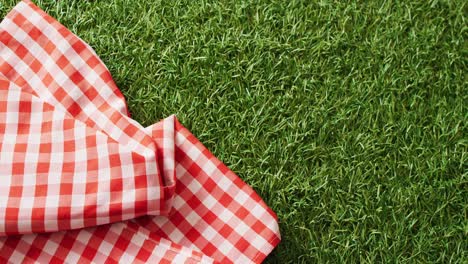 close up of red and white checkered blanket on grass with copy space