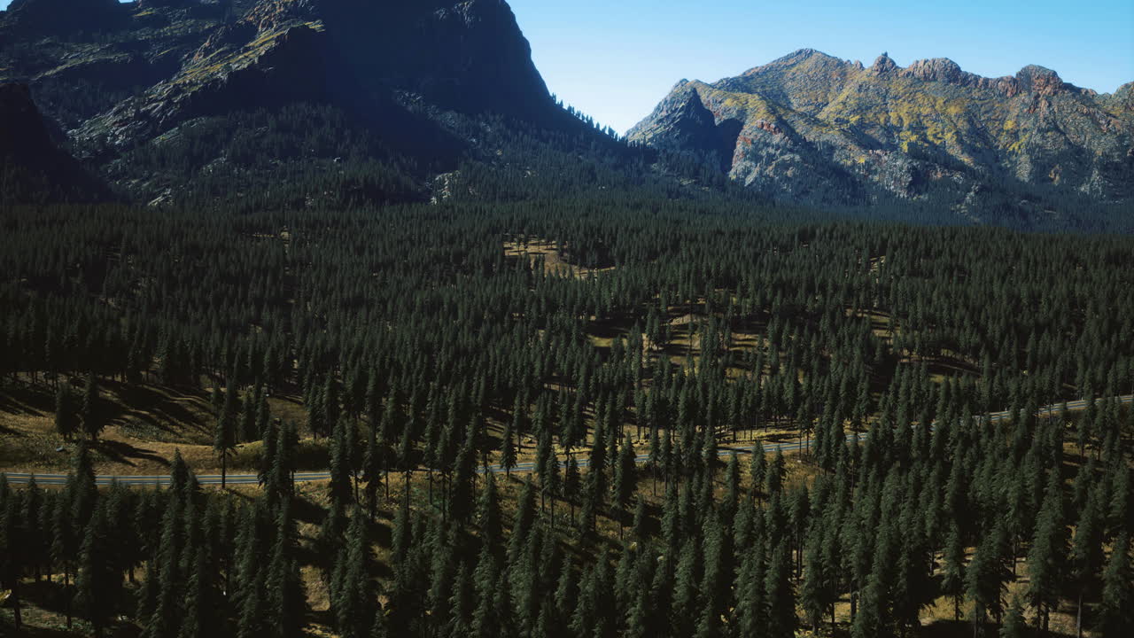 Vista panoramica di una fitta foresta e montagne sotto un cielo limpido di giorno.