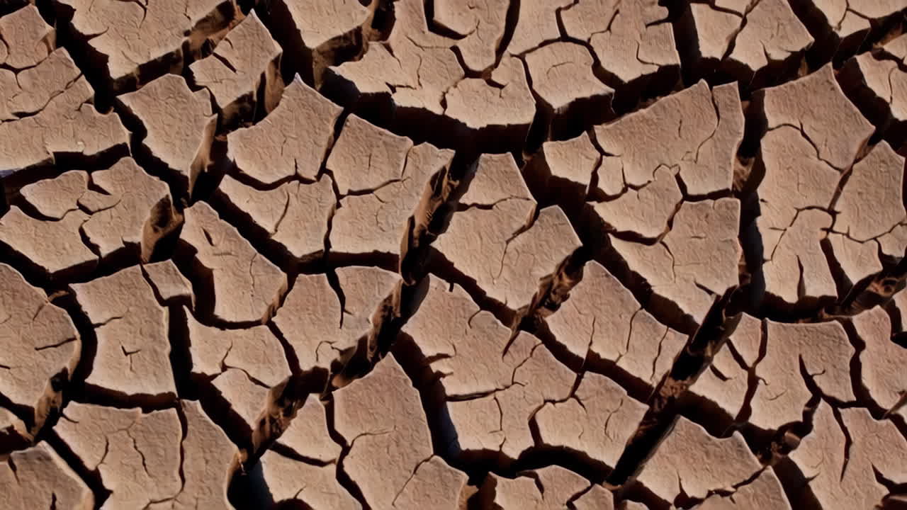 건조한 균열 된 땅