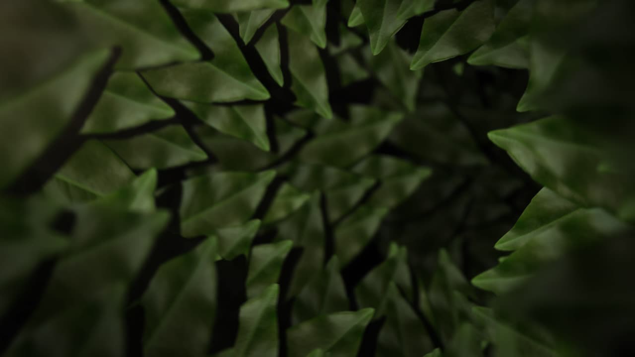 Organic Leaf Passage – Seamless Animation