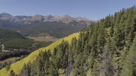 Fall-foliage-at-Boreas-Pass,-CO