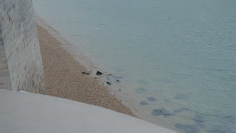 view of the beach from a height, waves crash into the pebbles and a seagull flies in to shot