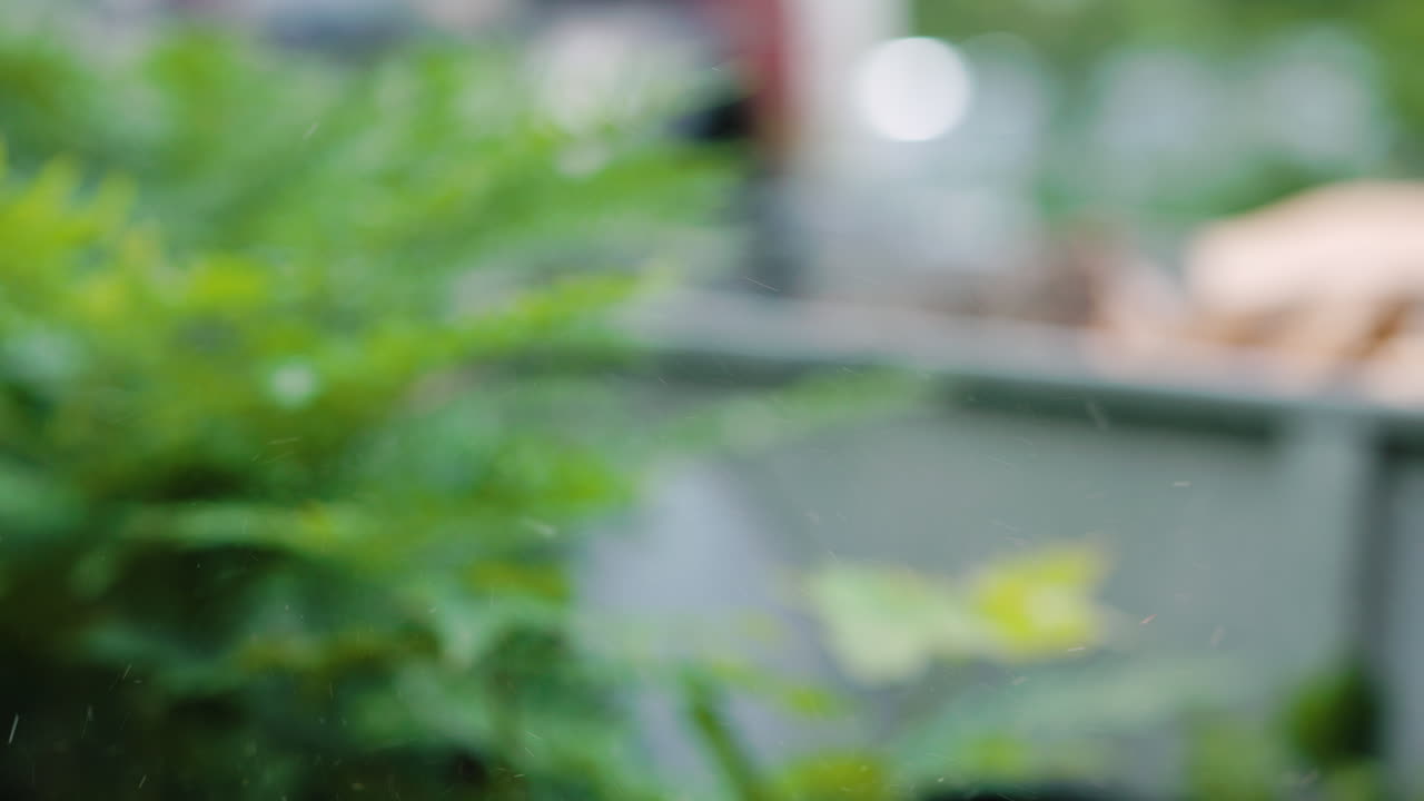 도끼, 얕은 dof에 의해 두 개로 분할되는 자작나무 조각의 근접 촬영