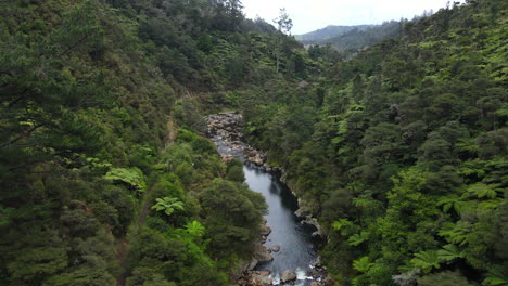 pan up drone pan of river en gorge nueva zelanda con matorrales