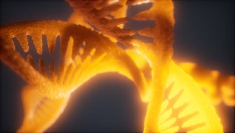 loop double helical structure of dna strand close-up animation