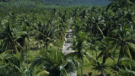 aerial of a truck riding on an empty road surrounded by palm trees at koh kood island, thailand