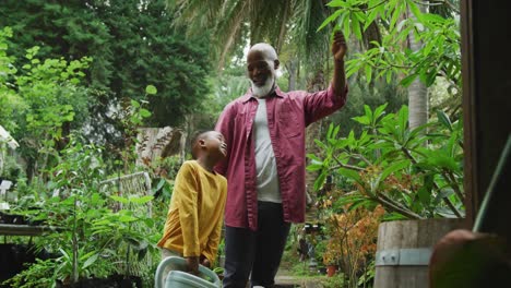 hombre afroamericano mayor feliz con su nieto mirando las plantas en el jardín