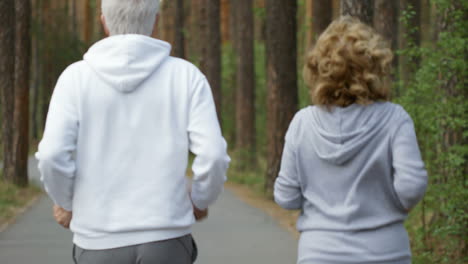 Rear-View-Of-Unrecognizable-Elderly-Woman-And-Man-Jogging-Along-Pavement-Road-In-Park