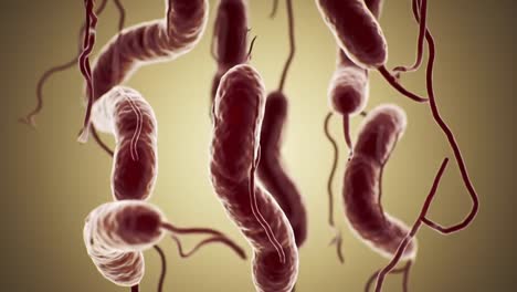 intricate visualization of microscopic bacteria: a deep dive into their structure and behavior in a hypothetical environment, highlighting their unique shapes and characteristics